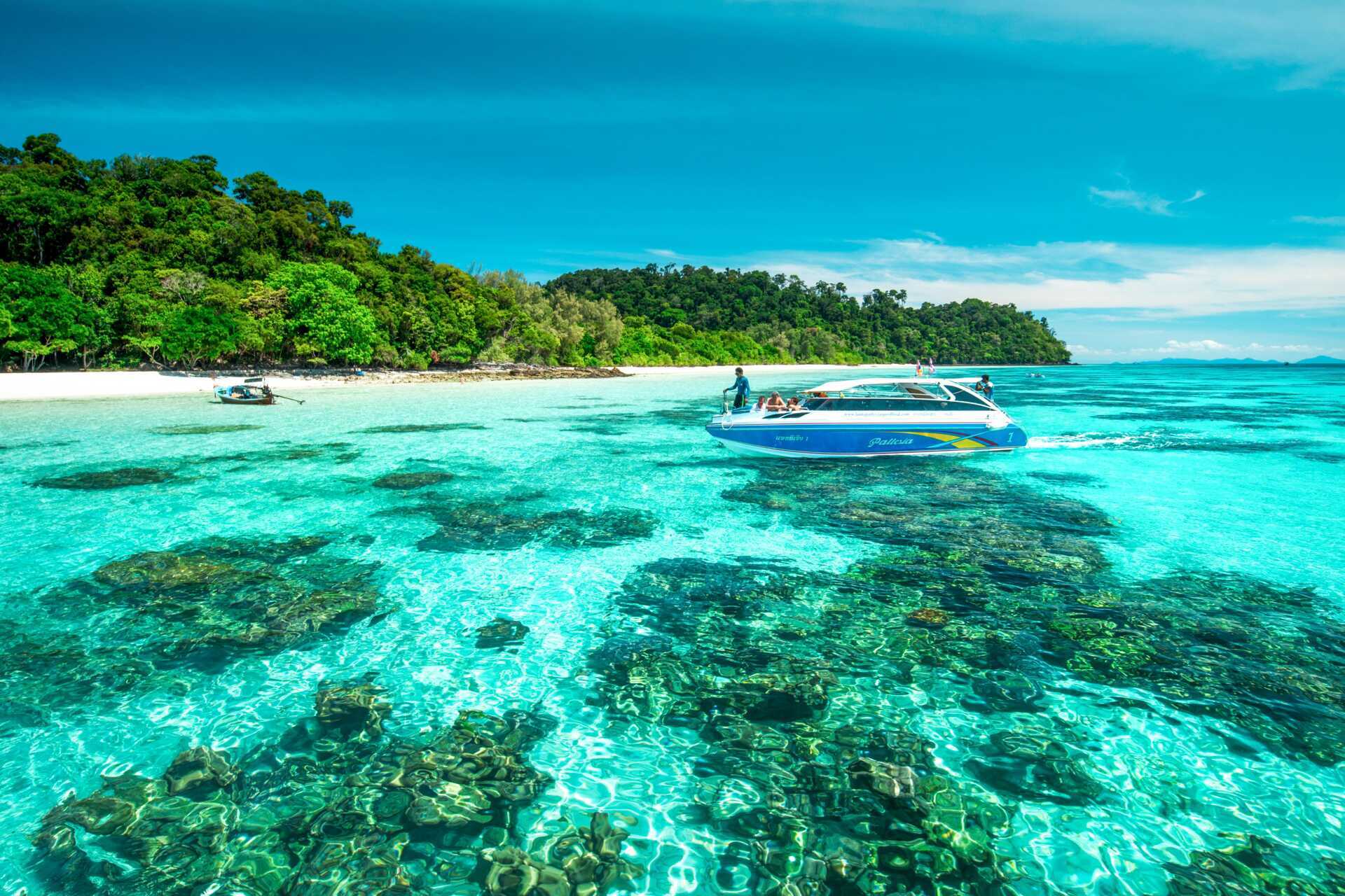 Koh Rok & Koh Haa med speedboat