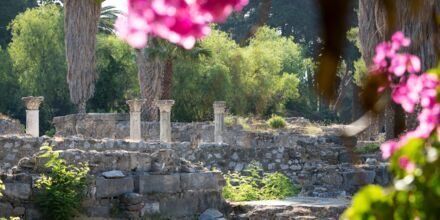 Templet Asklepion är den arkeologiskt viktigaste platsen på Kos.