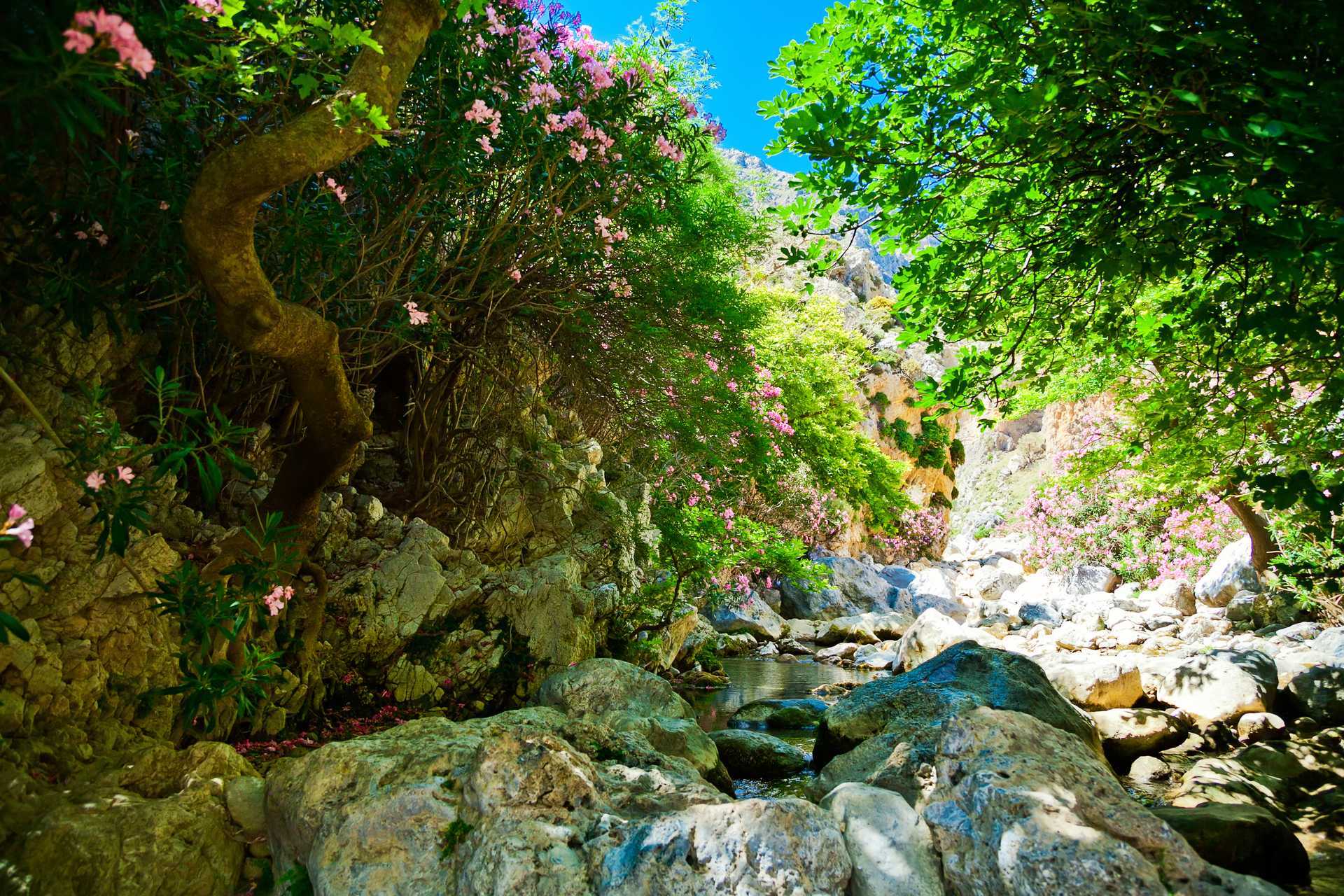 Koutaliko-ravinen – äventyrlig vandring och Preveli Beach