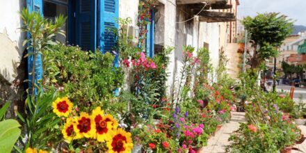 Blomstrande omgivningar längs huvudgatan i Paleochora på Kreta.