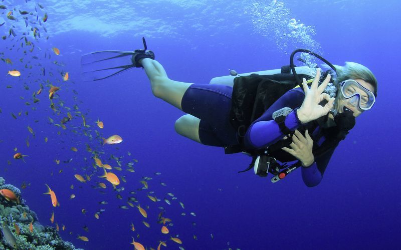 Dykcertifikat - Open Water Diver