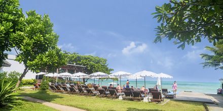 Lamai Wanta Beach Resort på Koh Samui, Thailand.