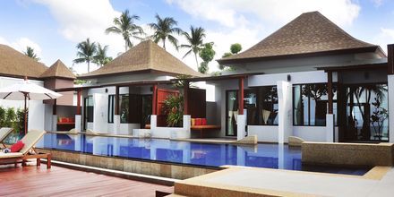 Bungalow med delad pool på Lanta Sand Resort & Spa på Koh Lanta, Thailand.