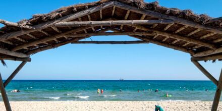 Les Orangers Beach Resort - vinter 23/24 och sommar 2024