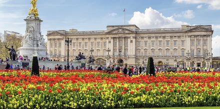 Buckingham Palace i London.