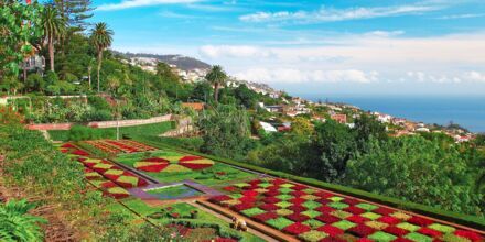Botaniska trädgården i Funchal, som vi även kommer besöka under premiumresan,