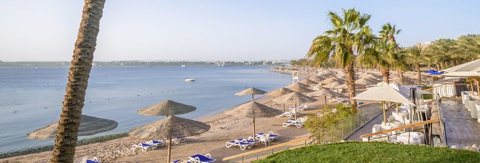 Stranden vid hotell Fort Arabesque Resort i Makadi Bay, Egypten.