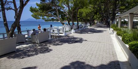 Strandpromenaden i Makarska, Kroatien.