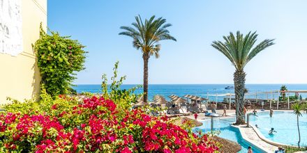 Poolområdet på hotell Malama Beach Holiday Village i Fig Tree Bay på Cypern.