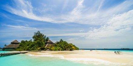Maldiverna är ett perfekt resmål för dig som älskar sol, bad och vita stränder.