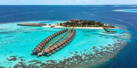 På Maldiverna har ofta en hotell eller en resort en hel ö till sitt förfogande.