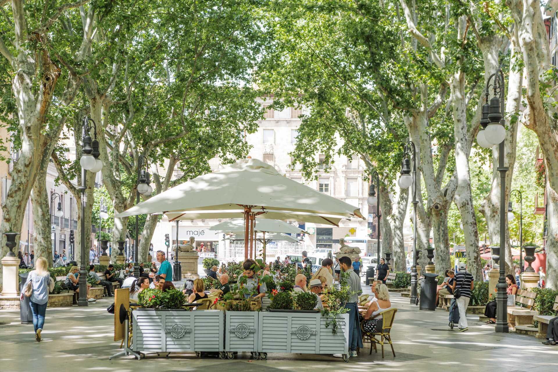 Passeig del Born i Palma stad, Mallorca.