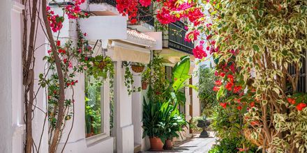 Marbella & Puerto Banus