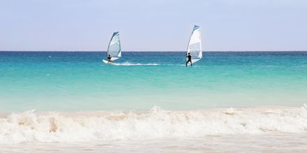Windsurfing Santa Maria Beach på Sal, Kap Verde.