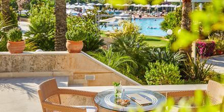 Hotell Minoa Palace resort & Spa i Platanias på Kreta, Grekland.