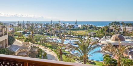 Dubbelrum på hotell Minoa Palace resort & Spa i Platanias på Kreta, Grekland.