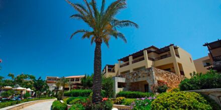 Hotell Minoa Palace Resort & Spa i Platanias på Kreta, Grekland.