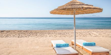 Stranden vid hotell Mitsis Blue Domes Resort & Spa i Kardamena på Kos, Grekland.