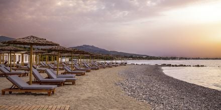 Stranden vid hotell Mitsis Ramira Beach Hotel i Psalidi, Kos.