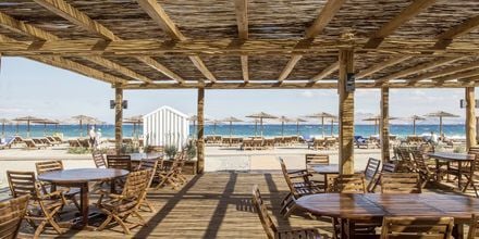 Strandbar på hotell Mitsis Ramira Beach Hotel i Psalidi, Kos.