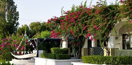 Rodos Maris Resort & Spa Mitsis Hotels, Grekland.
