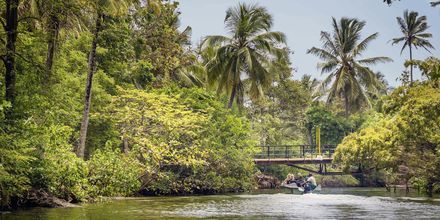 Kanalen i Negombo, Sri Lanka.
