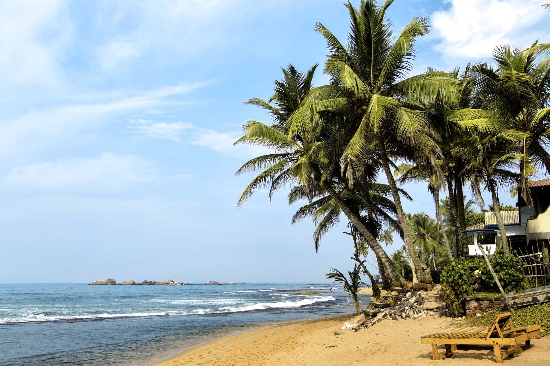 Strand i Negombo på Sri Lanka.
