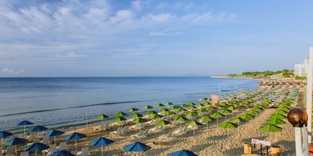Strand i Nessebar, Bulgarien.