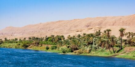 Nilens grönskande omgivningar.