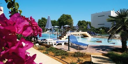 Poolområdet på hotell Ninemia Beach i Agia Marina, Kreta.
