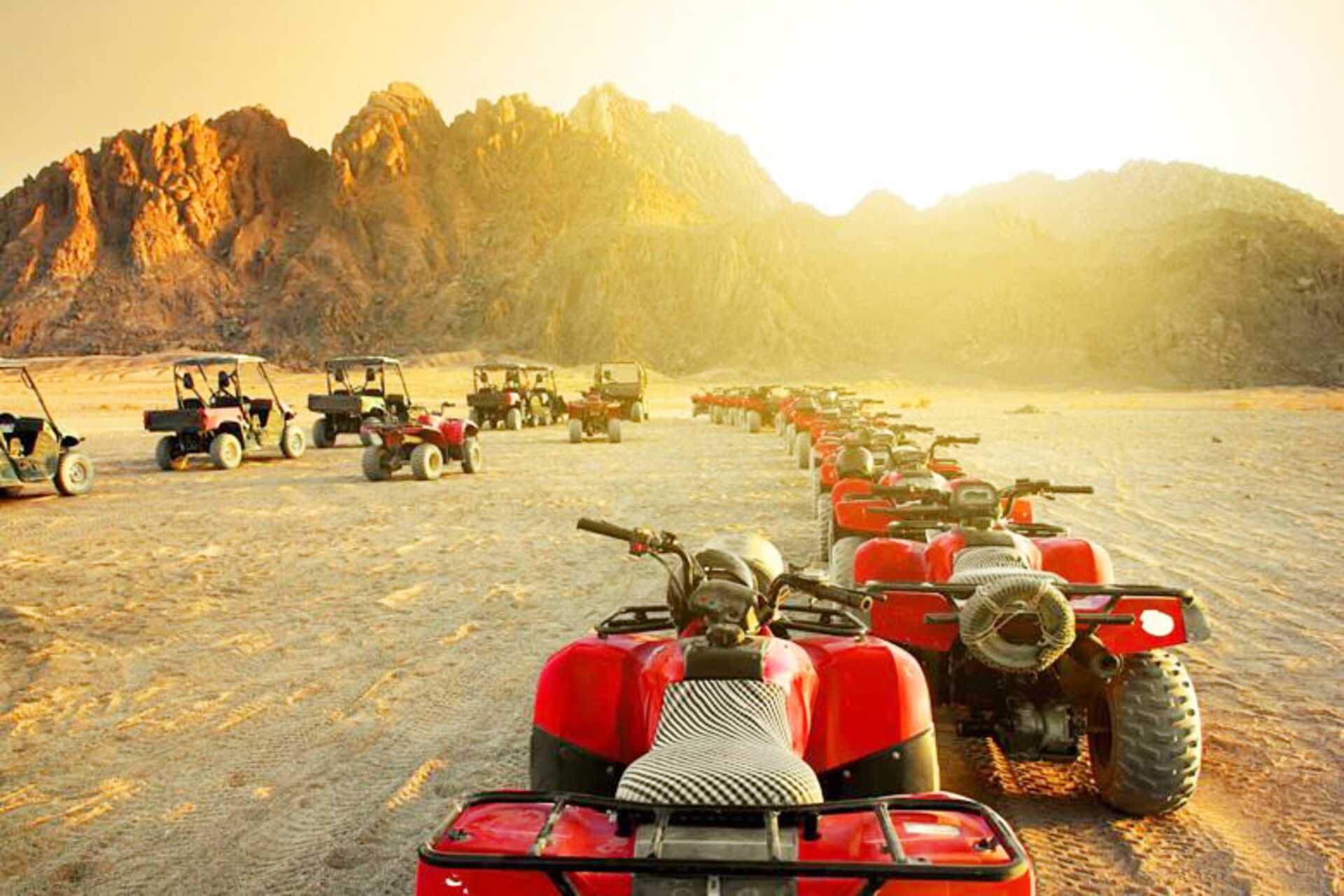 Ökensafari under stjärnorna