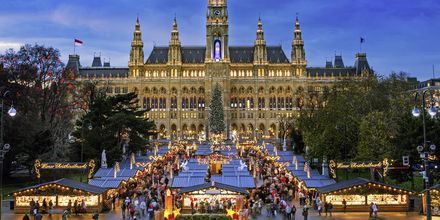 Julmarknad i Wien är poppis bland människor från hela världen.