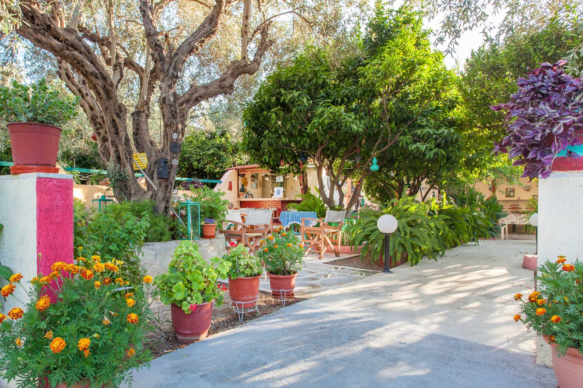 Pension Soula på Skopelos i Grekland.