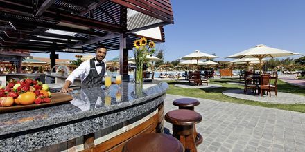 Bar på hotell Jungle Aqua Park i Hurghada, Egypten.
