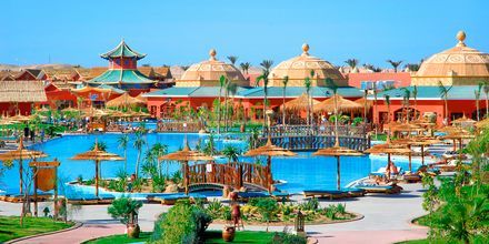 Hotell Jungle Aqua Park i Hurghada, Egypten.