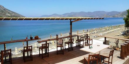 Restaurang på hotell Plaza på Kalymnos, Grekland.