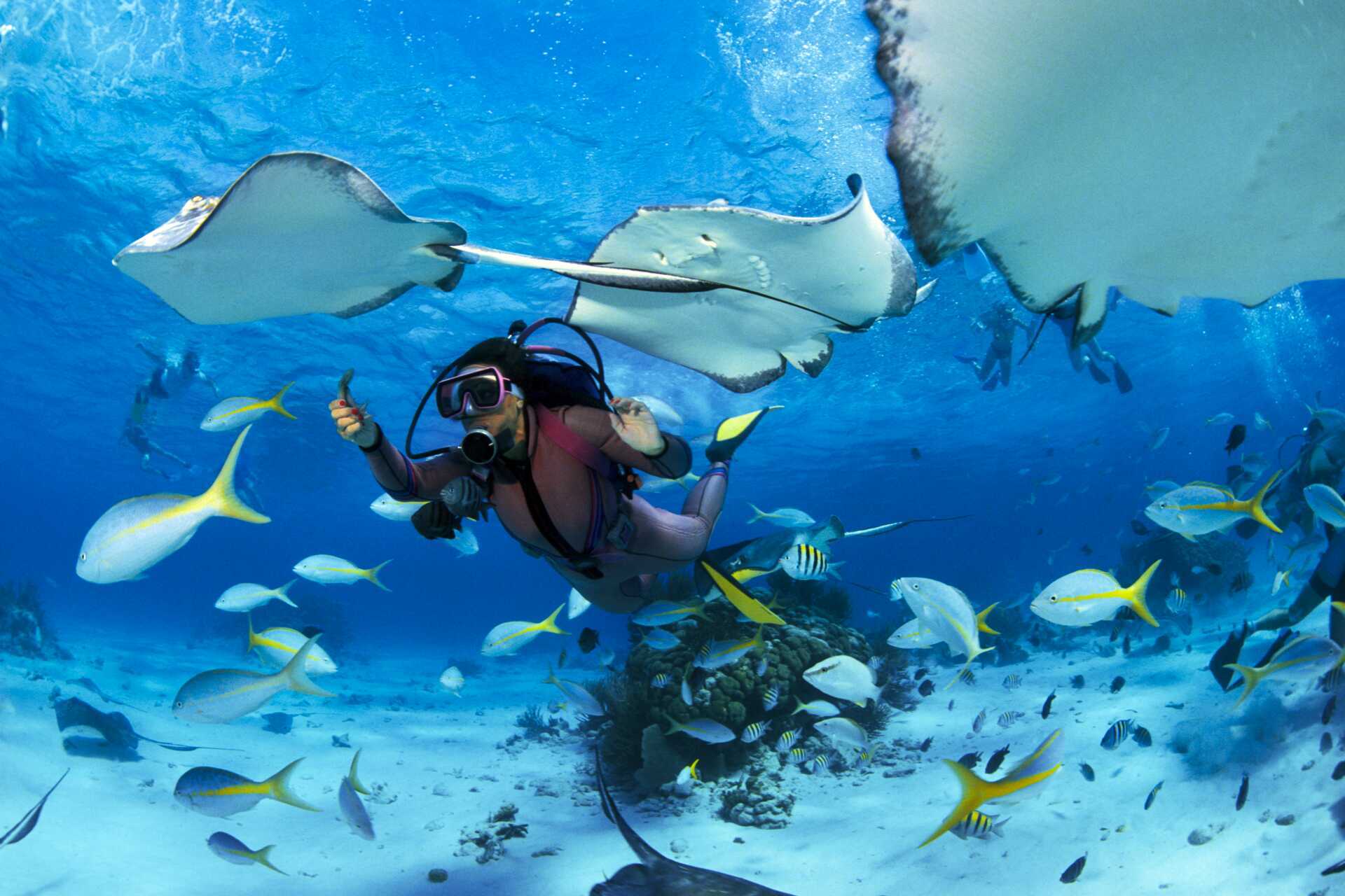 Prova-på-dyk i nationalparken Ras Mohammed