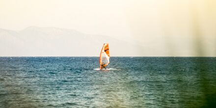Testa på windsurfing i Psalidi på Kos, Grekland.
