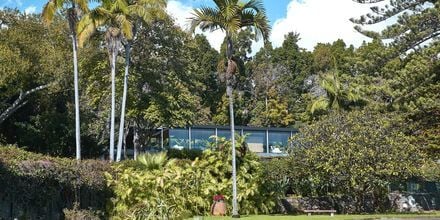 Trädgård på hotell Quinta da Casa Branca i Funchal, Madeira.