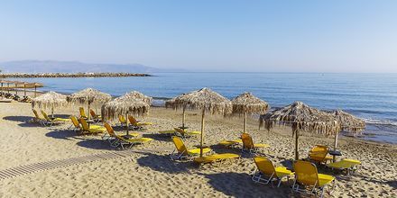 Stranden vid hotell Rania i Platanias, Kreta.