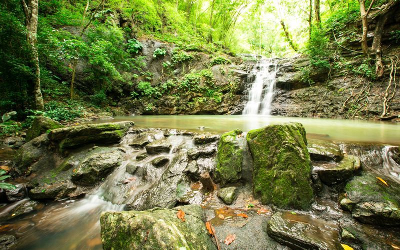 Regnskog och vattenfall i nationalparken Khao Phra Taew