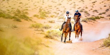 Hästridning i öknen på hotell Ritz-Carlton Al Wadi Desert, Ras al Khaimah.