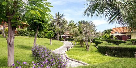 Hotell Romana Beach Resort i Phan Thiet, Vietnam.