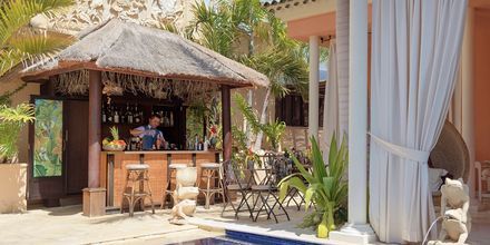 Bar på hotell Royal Garden Villas i Playa de las Americas, Teneriffa.