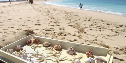 Souvenirer på stranden Santa Maria Beach, Kap Verde.