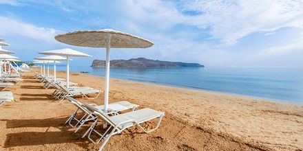 Stranden vid hotell Santa Marina Plaza på Kreta, Grekland.