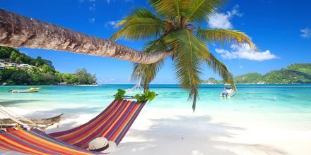 Avkoppling, sol och härliga bad står på schemat på semester på Seychellerna.