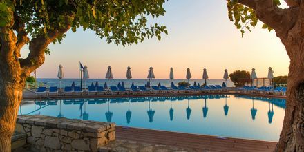 Poolen på Hotell Silva Beach i Hersonissos på Kreta, Grekland.