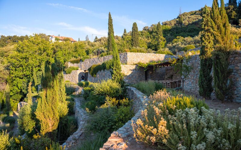 Smakfull upplevelse på Samos