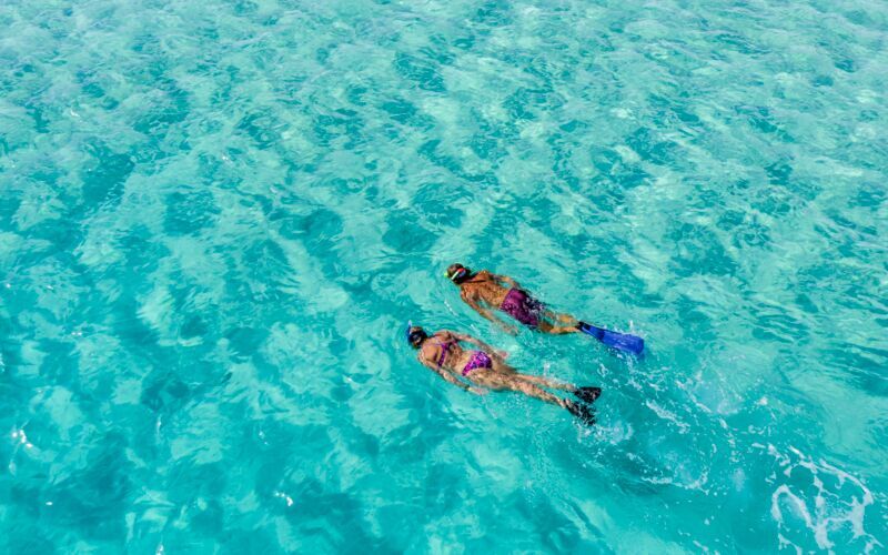 Snorkling i Röda havet